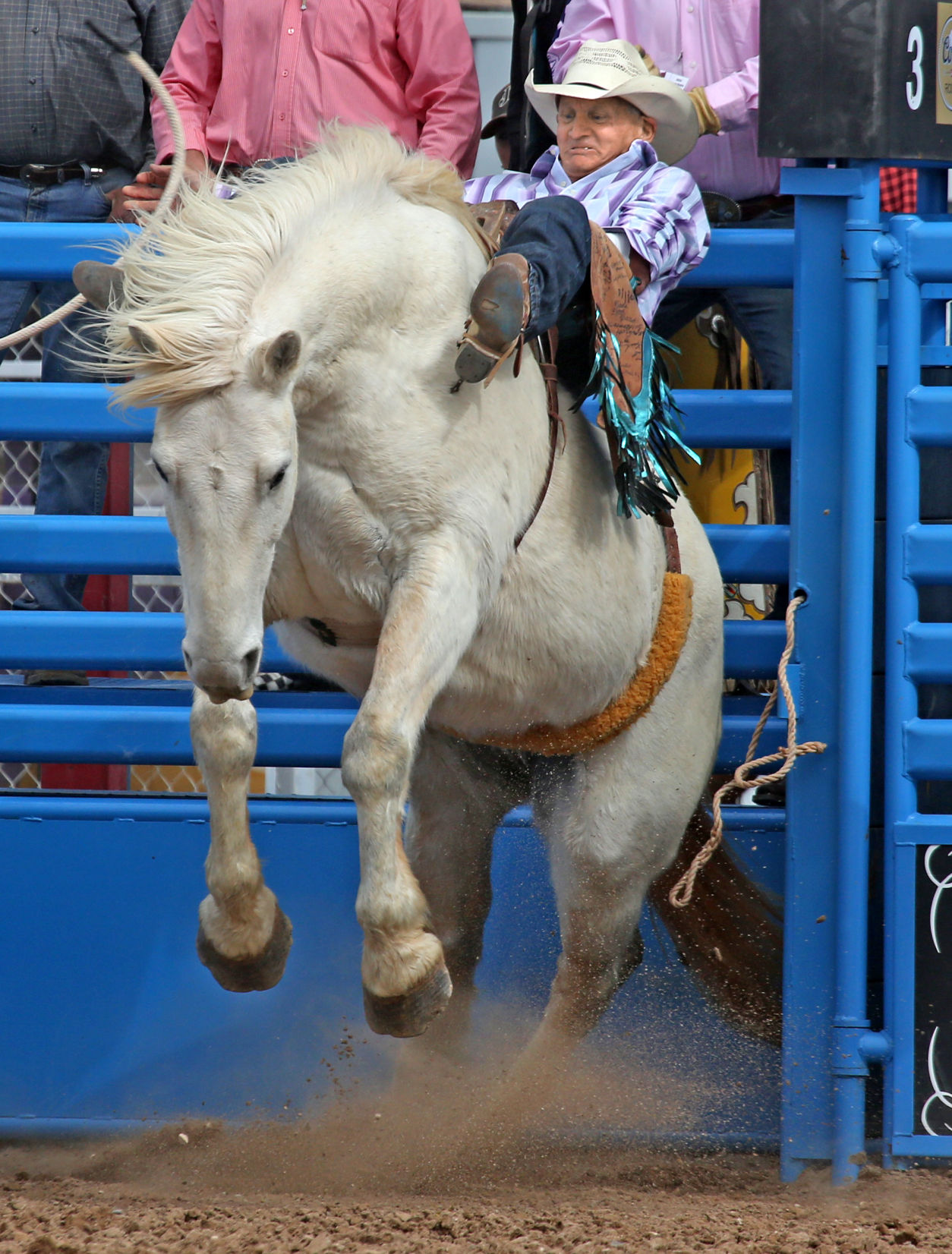 La Fiesta de los Vaqueros